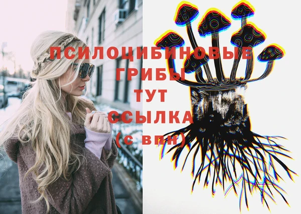 круглые Белокуриха